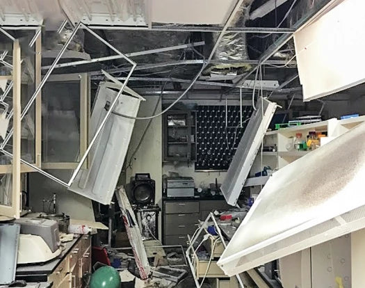 If I Were to Start Again