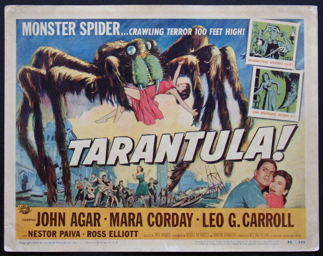 The 8-Legged Scale: From Egg Sac to Matriarch—Where Do You Stand?